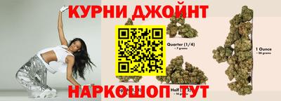 гашик Новокубанск