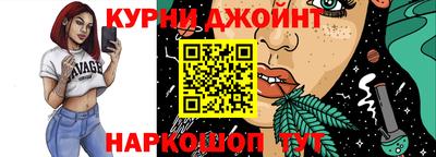 гашик Новодвинск