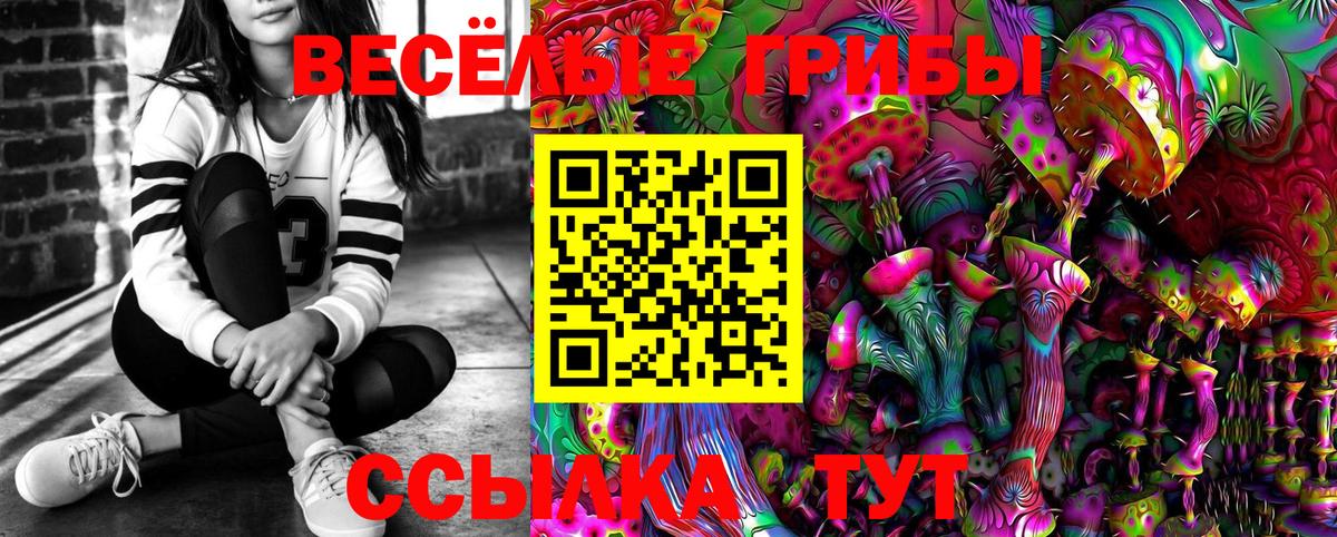 Галлюциногенные грибы Psilocybine cubensis Сосновый Бор