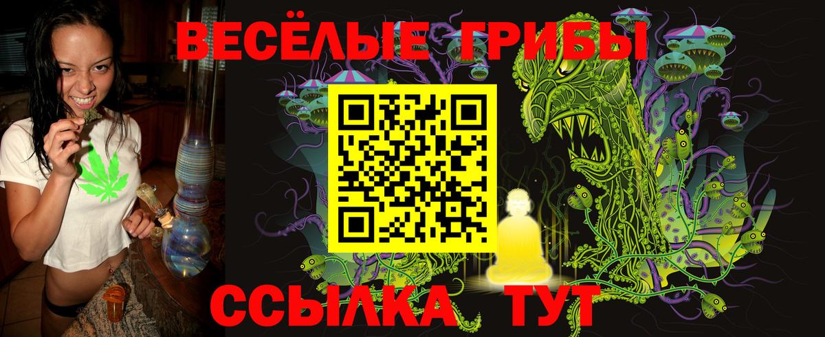 наркотики  Галлюциногенные грибы ЛСД  Вход с VPN  Сосновый Бор  Галлюциногенные грибы MAGIC MUSHROOMS 