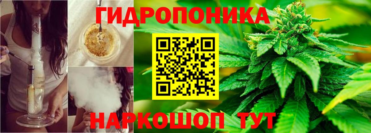 Сосновый Бор  Канабис SATIVA & INDICA  Канабис Ganja  Конопля индика  Бошки Шишки Amnesia  Вход с VPN 